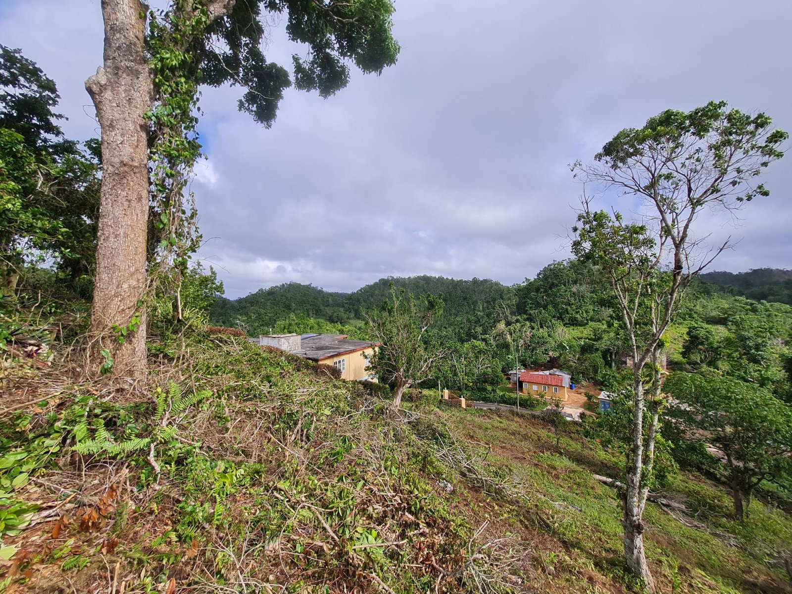 Eighth image of Land Part of Green Hill in Alexandria, St. Ann, Jamaica - property is For Sale