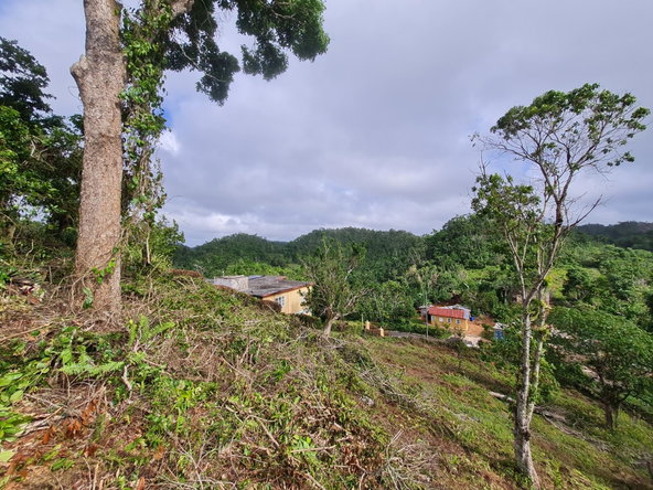 Eighth image of Land Part of Green Hill in Alexandria, St. Ann, Jamaica - property is For Sale