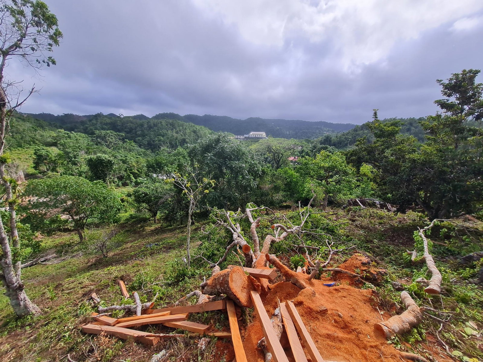 Ninth image of Land Part of Green Hill in Alexandria, St. Ann, Jamaica - property is For Sale