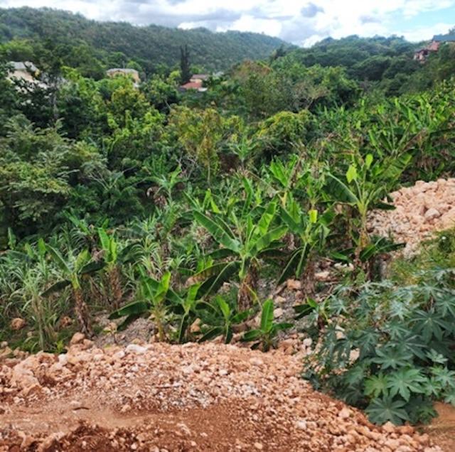 Second image of 60 Bella Vista Heffs Crescen in Red Hills, St. Andrew, Jamaica - property is For Sale