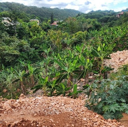 Second image of 60 Bella Vista Heffs Crescen in Red Hills, St. Andrew, Jamaica - property is For Sale