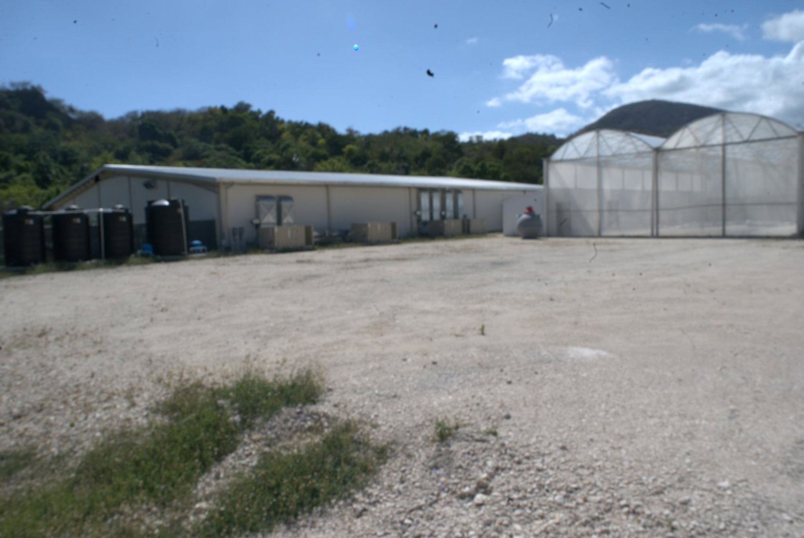 Fifth image of Mount Sinai, Llandewey in Llandewey, St. Thomas, Jamaica - property is For Sale
