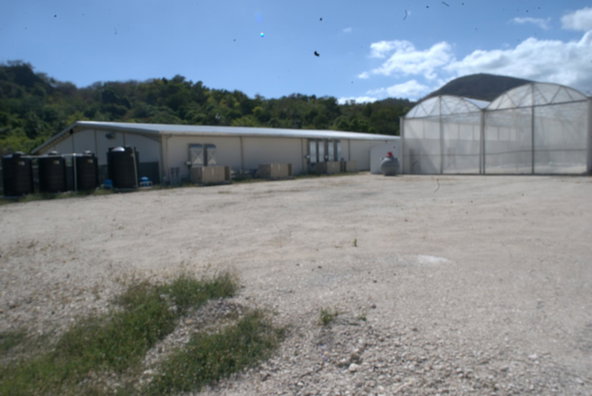 Fifth image of Mount Sinai, Llandewey in Llandewey, St. Thomas, Jamaica - property is For Sale