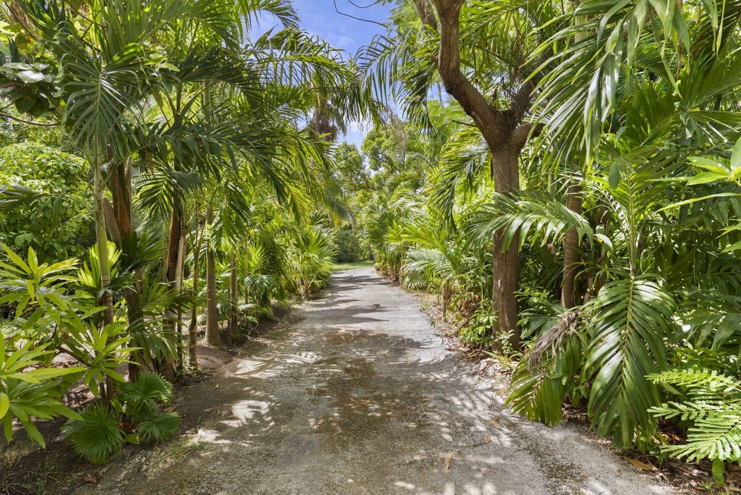 Twenty-Ninth image of Tranquility Cove in Tower Isle, St. Mary, Jamaica - property is For Sale
