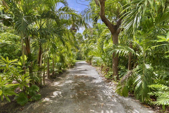 Twenty-Ninth image of Tranquility Cove in Tower Isle, St. Mary, Jamaica - property is For Sale