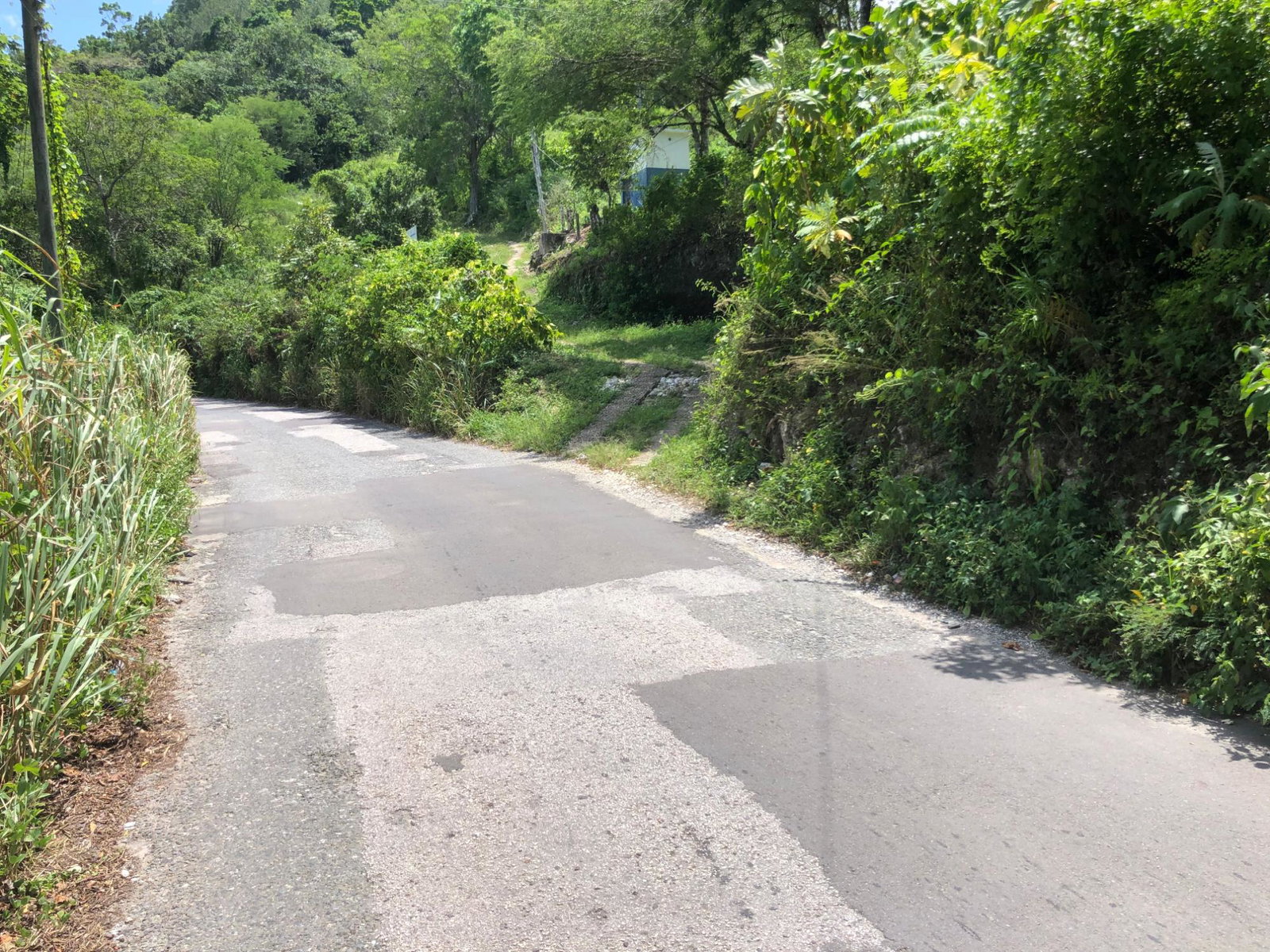 Twenty-Fourth image of Tavern Hill in Stewart Town, Trelawny, Jamaica - property is For Sale
