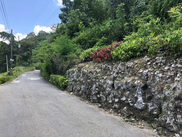 Twenty-Ninth image of Tavern Hill in Stewart Town, Trelawny, Jamaica - property is For Sale