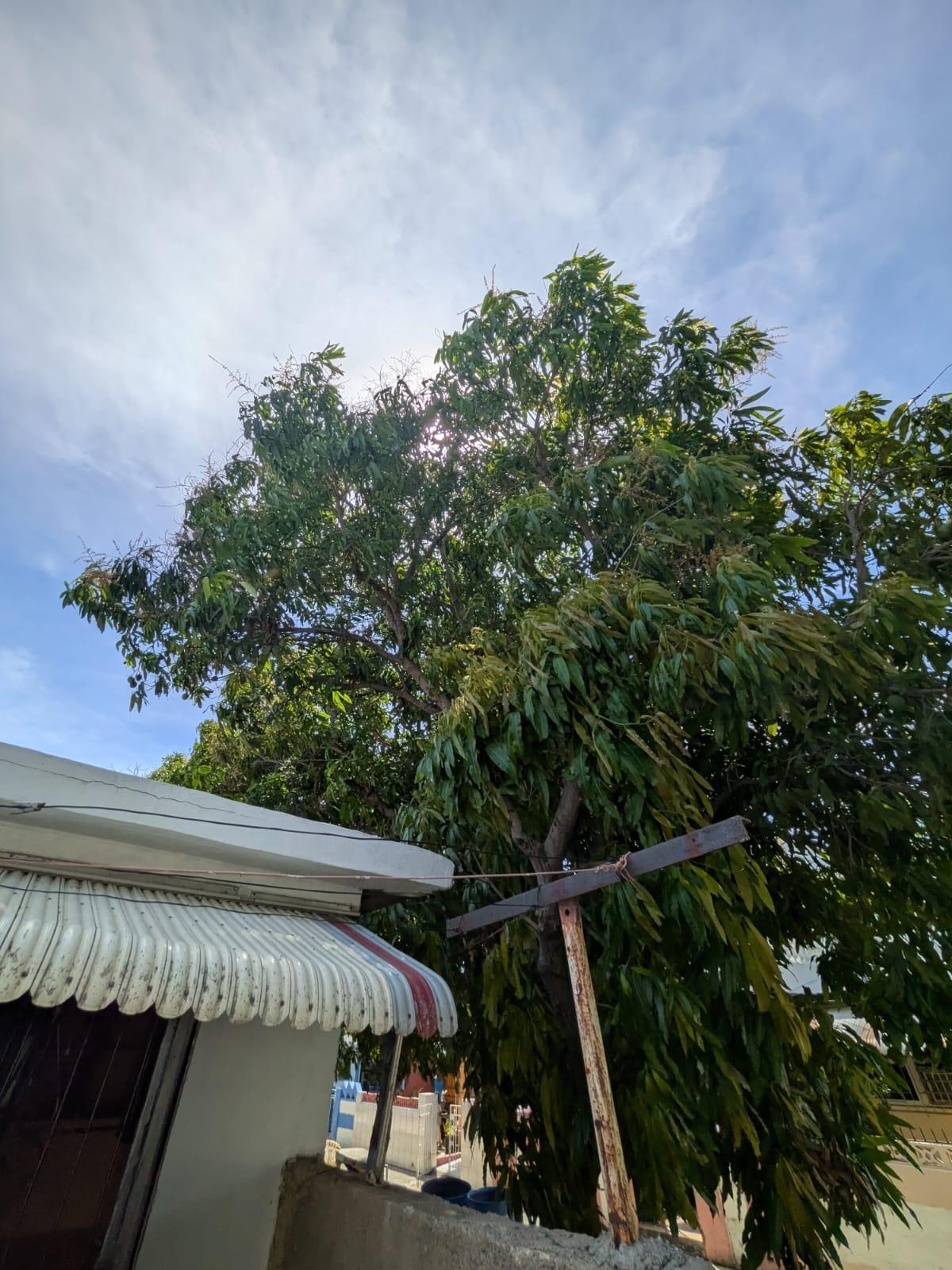 Sixteenth image of 2033 Granville Road, Waterford in Waterford, St. Catherine, Jamaica - property is For Sale