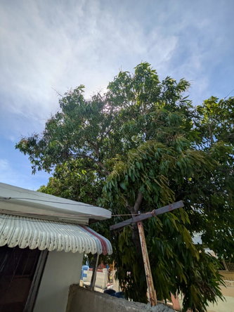 Sixteenth image of 2033 Granville Road, Waterford in Waterford, St. Catherine, Jamaica - property is For Sale