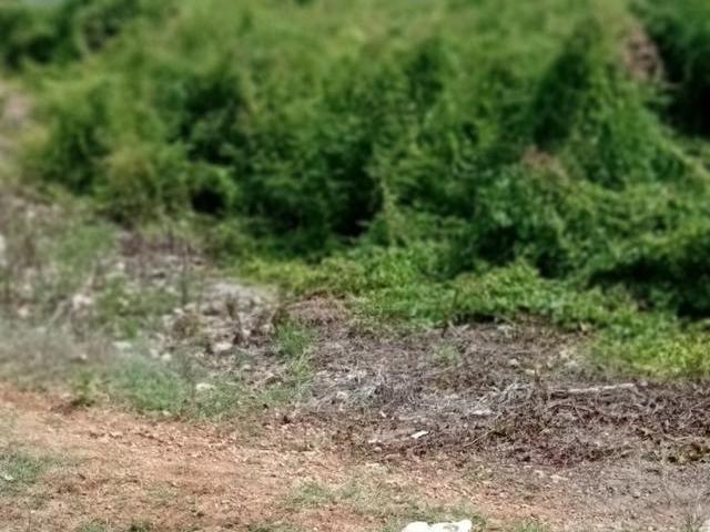 First image of Old Harbour Glades in Old Harbour, St. Catherine, Jamaica - property is For Sale