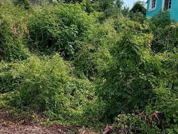 Third image of Old Harbour Glades in Old Harbour, St. Catherine, Jamaica - property is For Sale