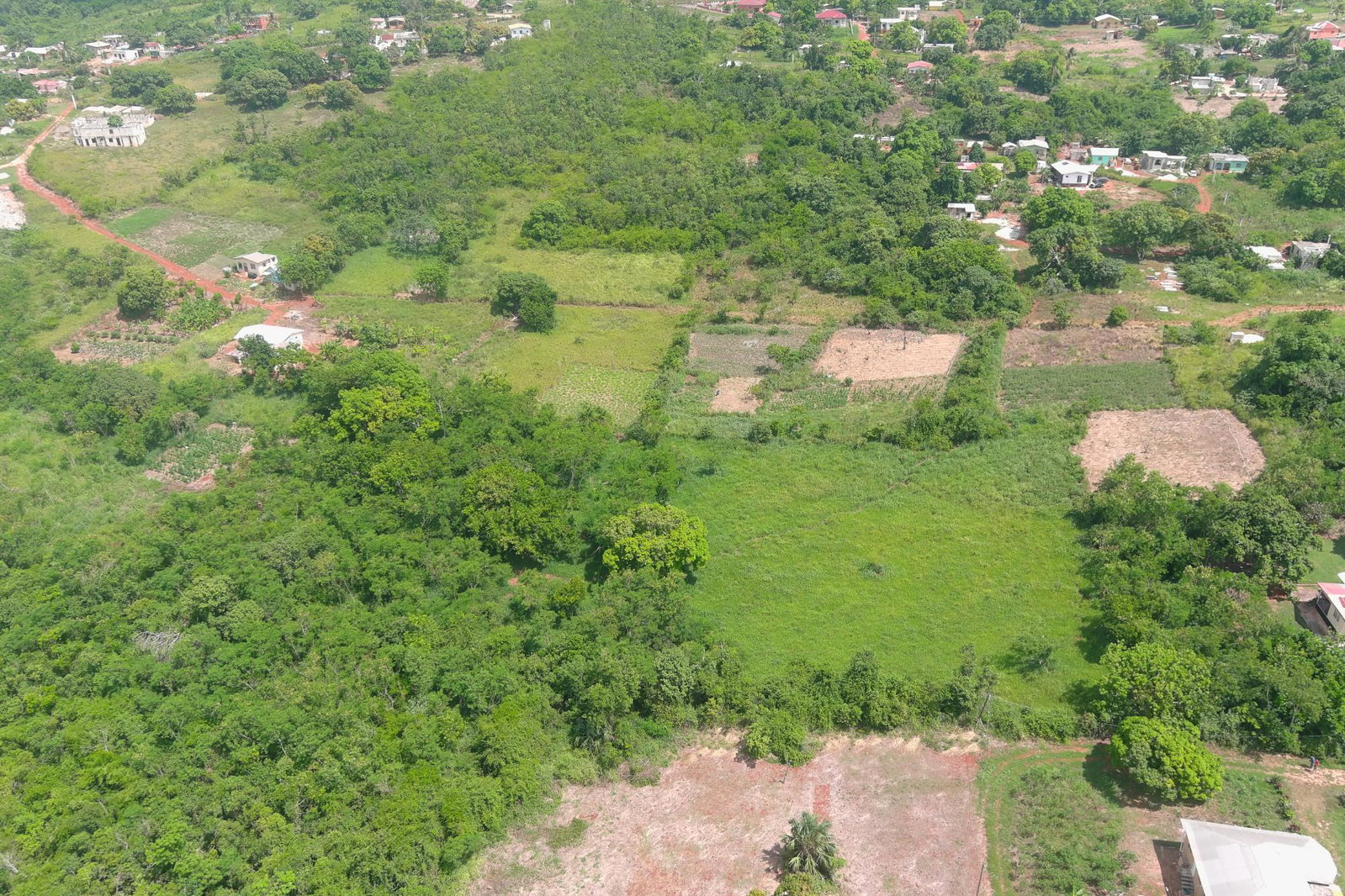 Ninth image of New Hall, St. Elizabeth in Morningside, St. Elizabeth, Jamaica - property is For Sale