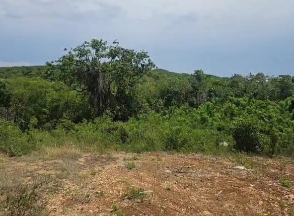 First image of 8a Sevens Plantation in Sevens, Clarendon, Jamaica - property is For Sale