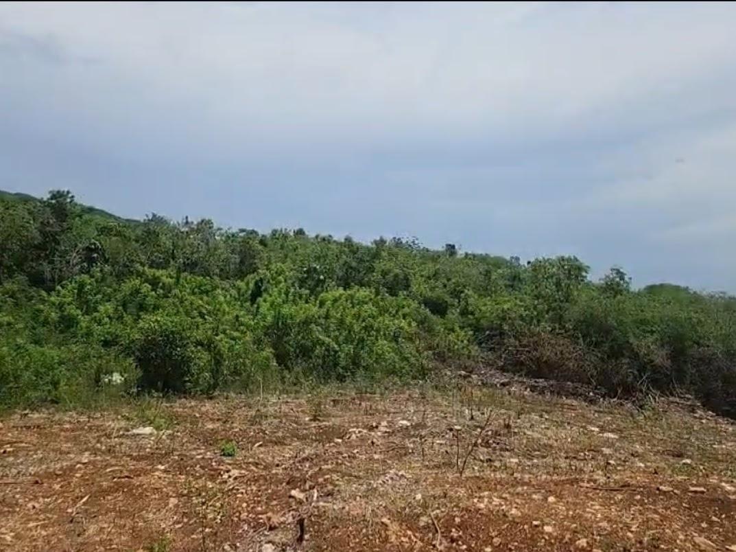 Second image of 8a Sevens Plantation in Sevens, Clarendon, Jamaica - property is For Sale