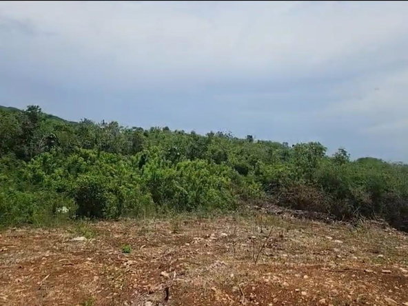 Second image of 8a Sevens Plantation in Sevens, Clarendon, Jamaica - property is For Sale