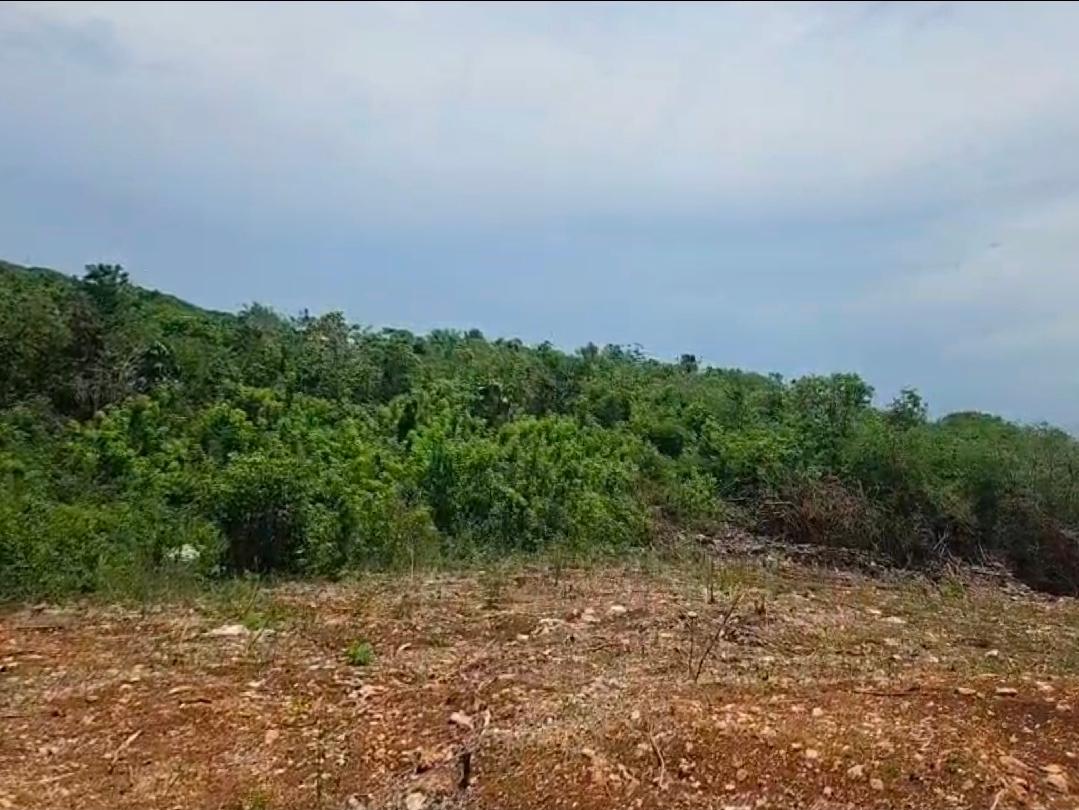 Third image of 8a Sevens Plantation in Sevens, Clarendon, Jamaica - property is For Sale
