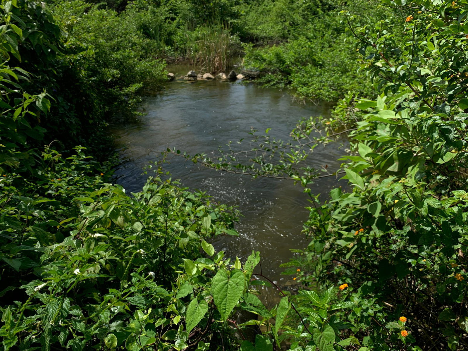 First image of Lot 4 Smithfield in Savanna-La-Mar, Westmoreland, Jamaica - property is For Sale