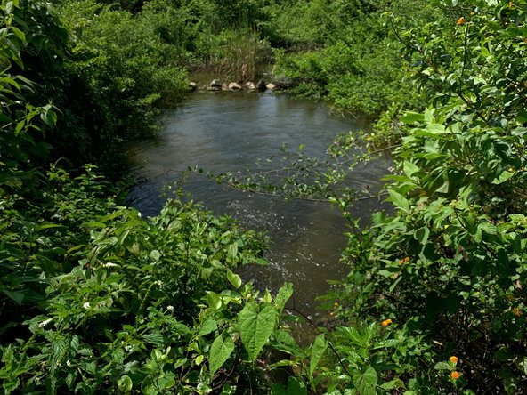 15-Acre Development Land in Westmoreland, Jamaica | Riverfront Eco-Living Potential 2 First image of Lot 4 Smithfield in Savanna-La-Mar, Westmoreland, Jamaica - property is For Sale