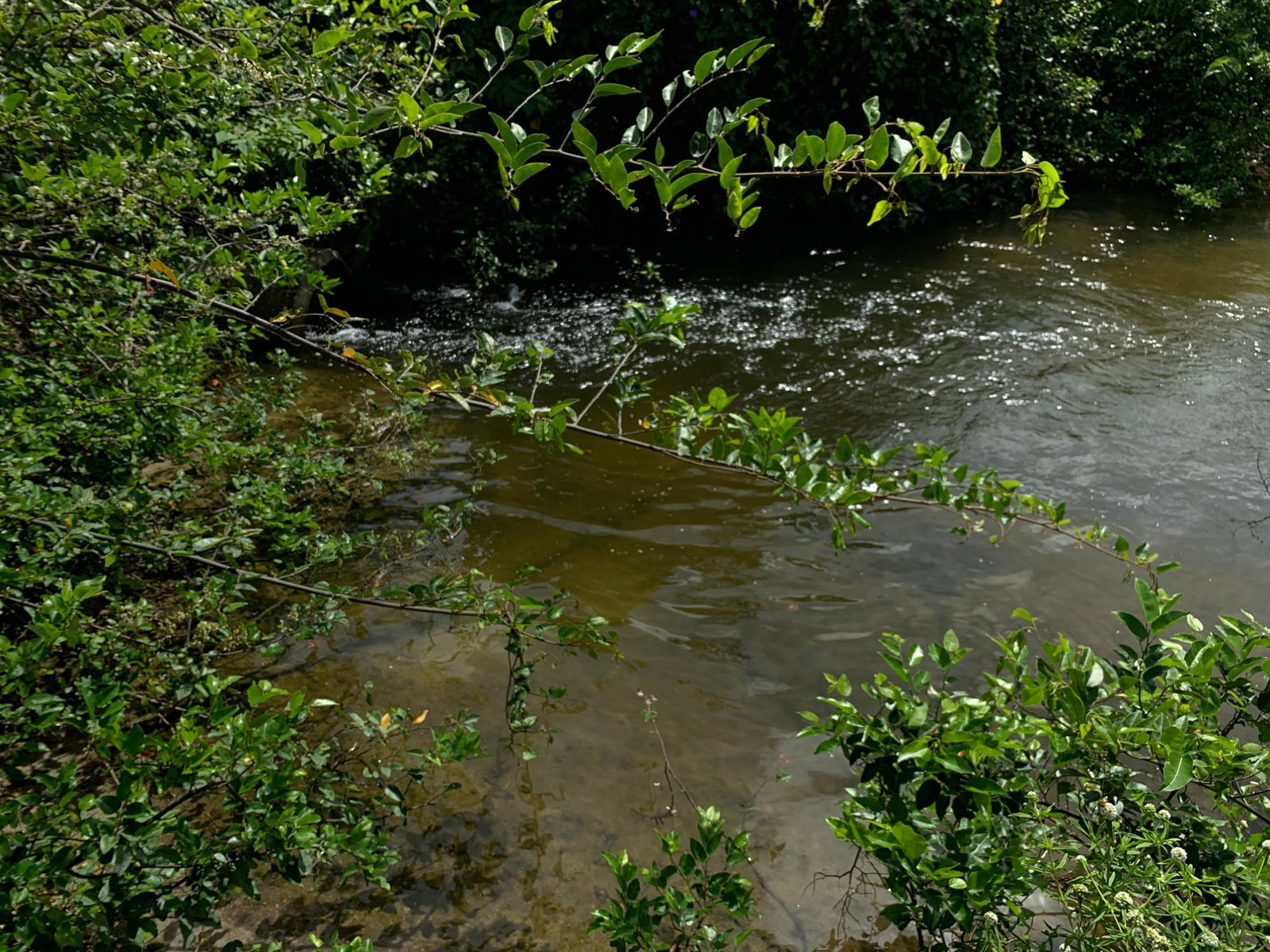 Tenth image of Lot 4 Smithfield in Savanna-La-Mar, Westmoreland, Jamaica - property is For Sale