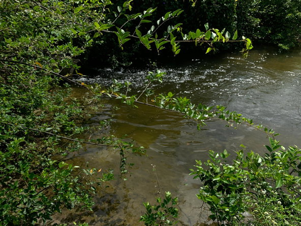 Tenth image of Lot 4 Smithfield in Savanna-La-Mar, Westmoreland, Jamaica - property is For Sale