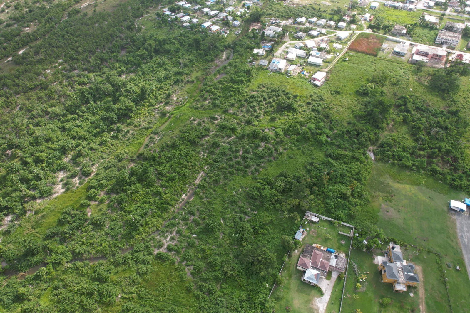 Fifteenth image of Lot 4 Smithfield in Savanna-La-Mar, Westmoreland, Jamaica - property is For Sale