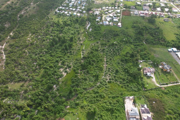 Seventeenth image of Lot 4 Smithfield in Savanna-La-Mar, Westmoreland, Jamaica - property is For Sale