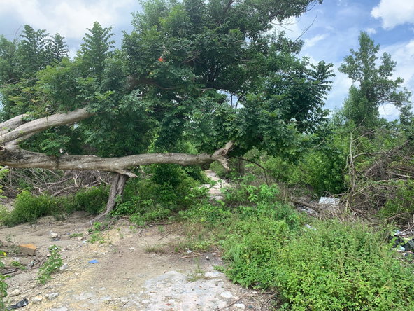 Sixth image of Lot 4 Smithfield in Savanna-La-Mar, Westmoreland, Jamaica - property is For Sale
