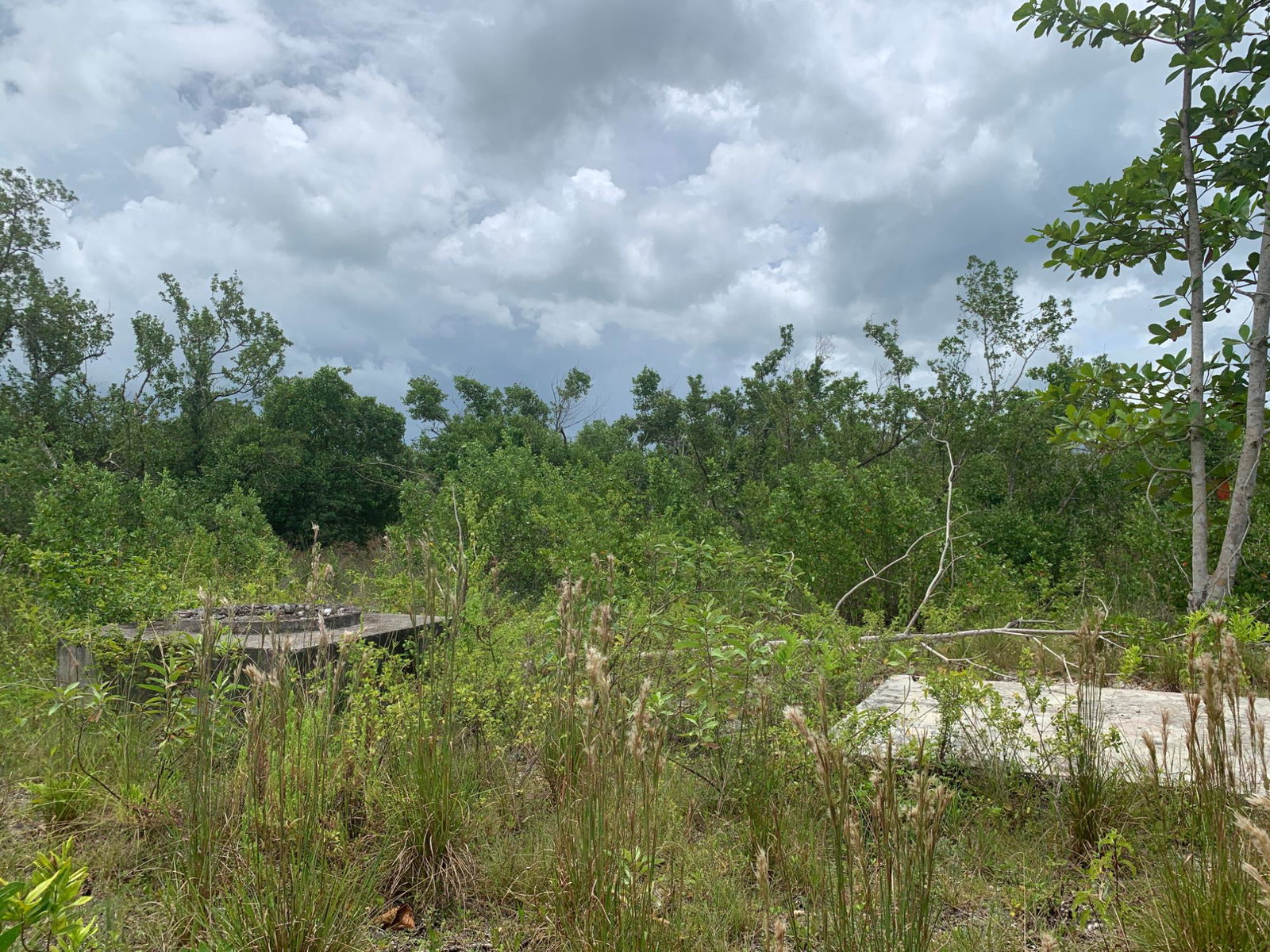 Seventh image of Lot 4 Smithfield in Savanna-La-Mar, Westmoreland, Jamaica - property is For Sale