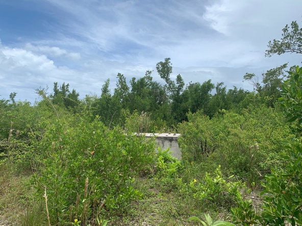 Eighth image of Lot 4 Smithfield in Savanna-La-Mar, Westmoreland, Jamaica - property is For Sale