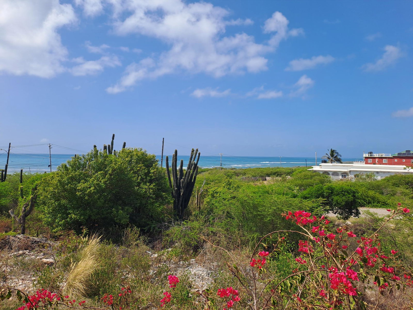 Seventh image of Woodpecker Avenue in Georges, St. Catherine, Jamaica - property is For Sale