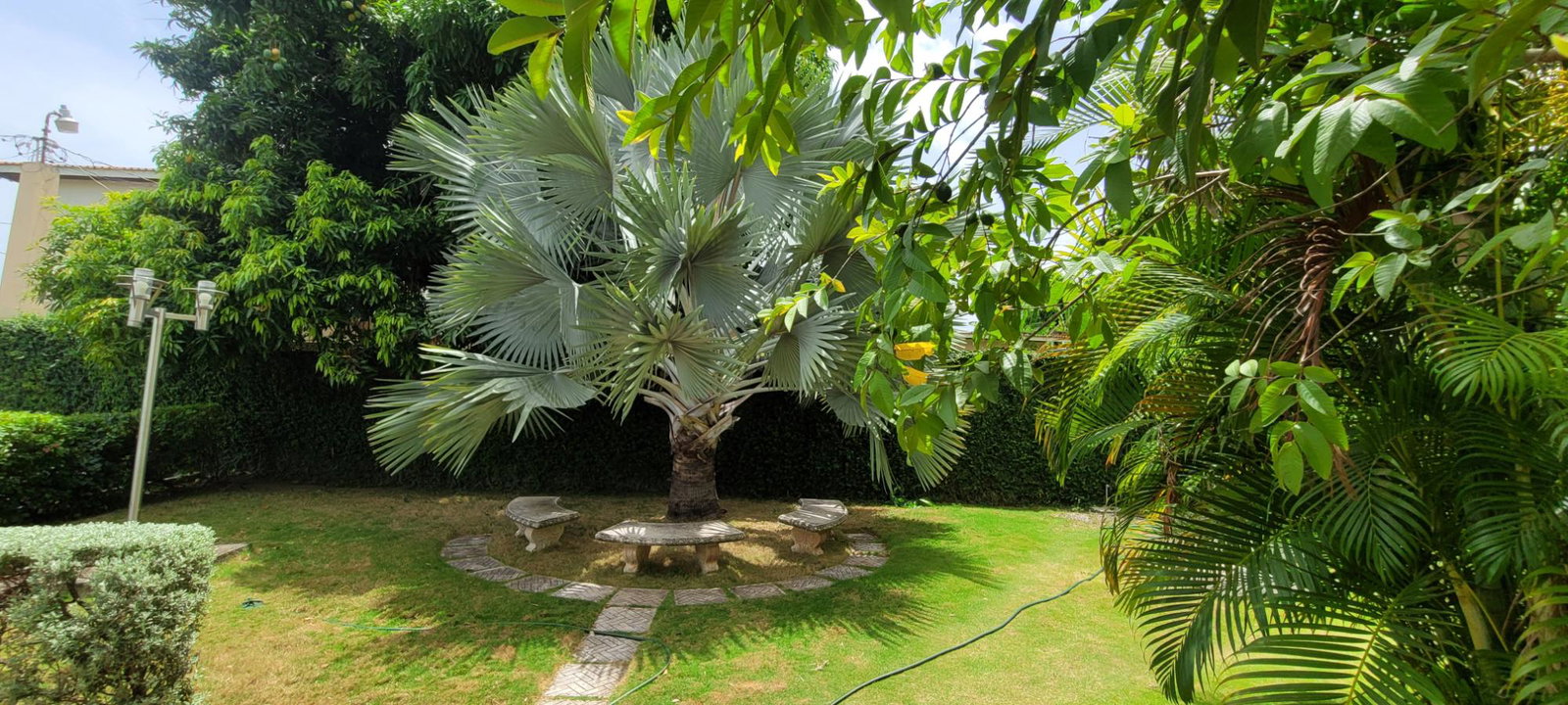 Twentieth image of 1-19 Three View Avenue in Red Hills, St. Andrew, Jamaica - property is For Rent