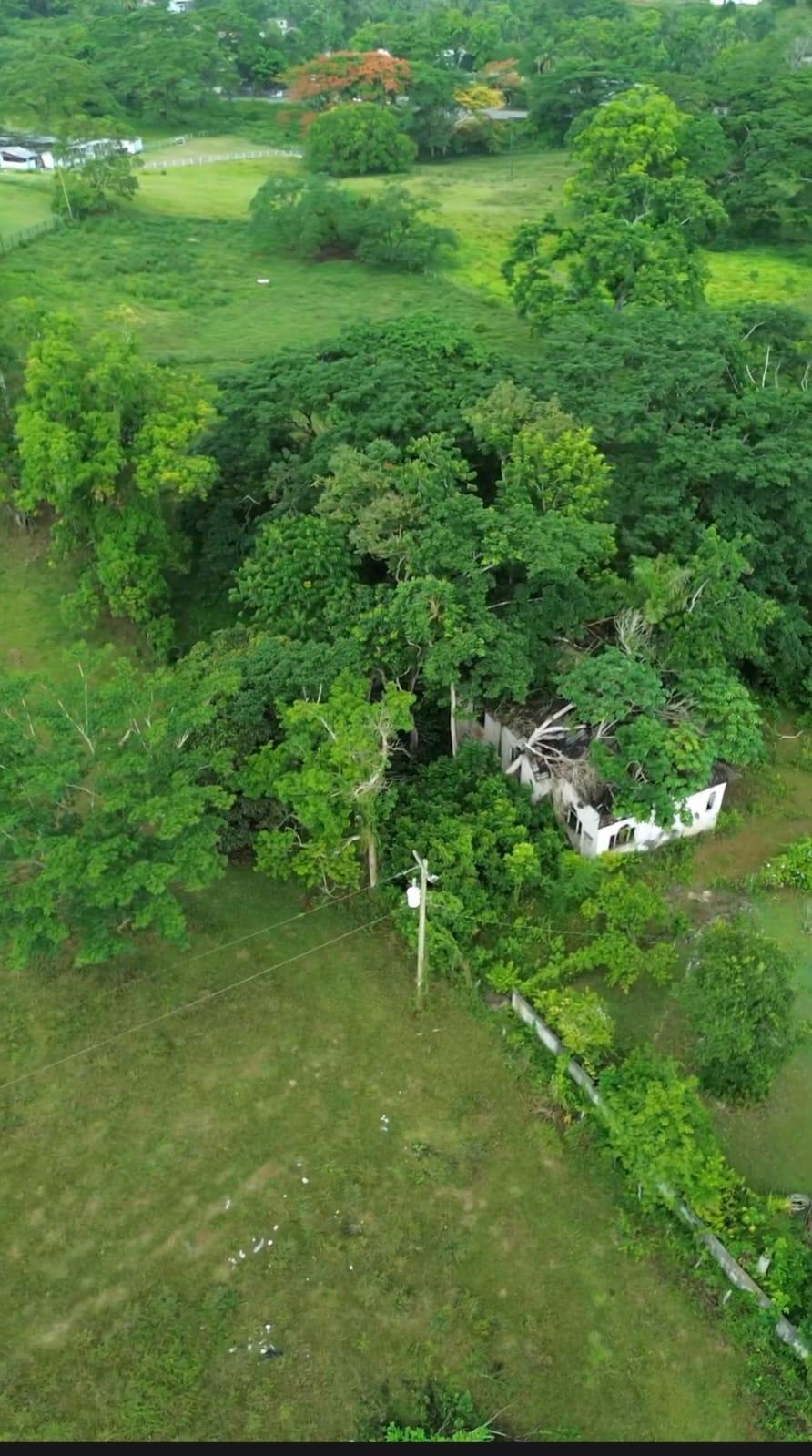 Fifth image of 10 Buena Vista Boulevard in Linstead, St. Catherine, Jamaica - property is For Sale