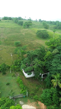 Seventh image of 10 Buena Vista Boulevard in Linstead, St. Catherine, Jamaica - property is For Sale
