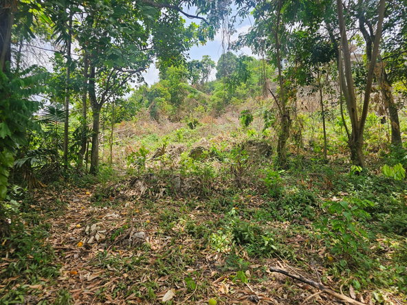 Fifteenth image of Lot 58d Brentwood Terrace in Kingston 19, St. Andrew, Jamaica - property is For Sale
