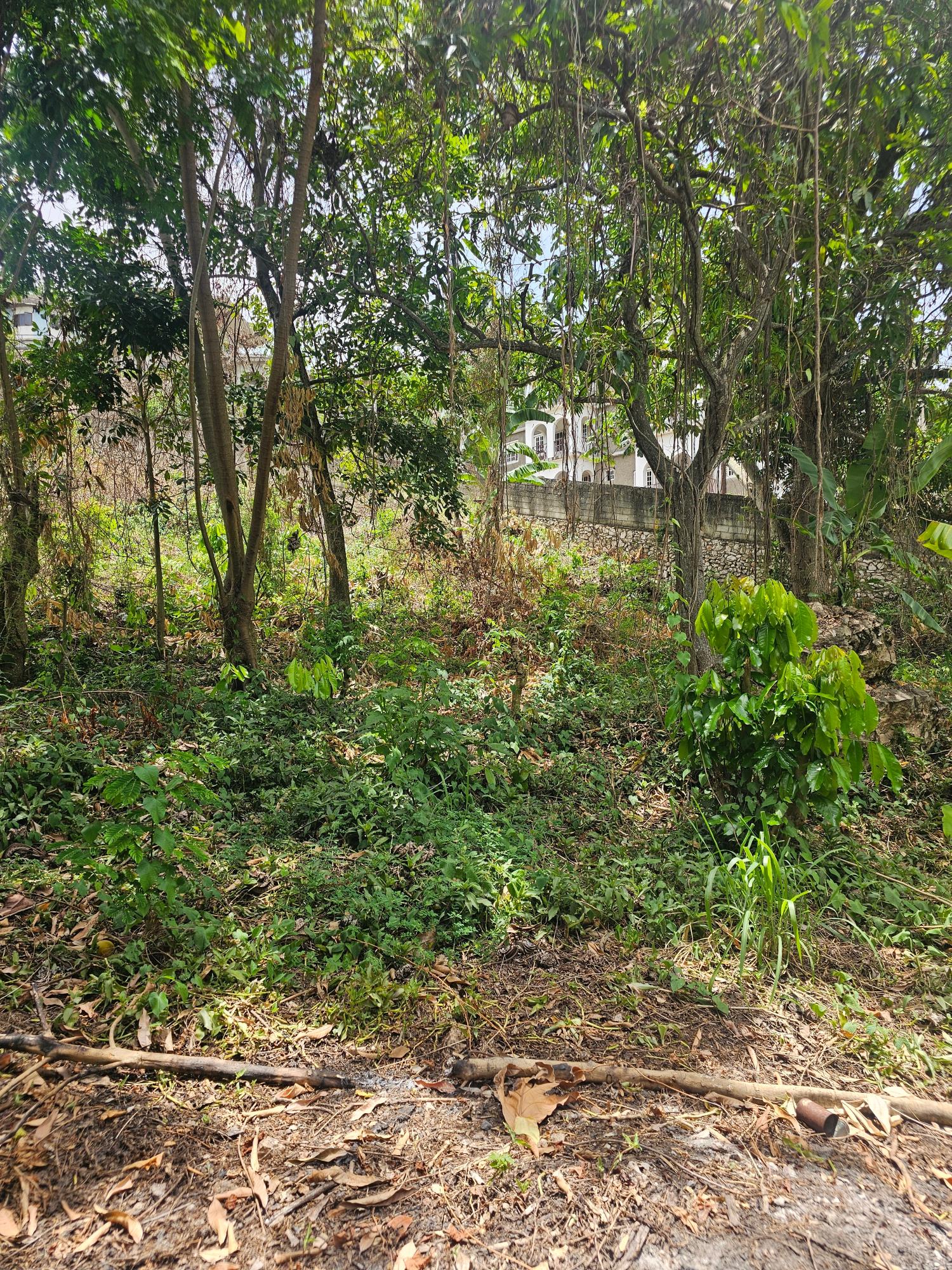 Sixteenth image of Lot 58d Brentwood Terrace in Kingston 19, St. Andrew, Jamaica - property is For Sale