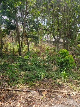 Sixteenth image of Lot 58d Brentwood Terrace in Kingston 19, St. Andrew, Jamaica - property is For Sale