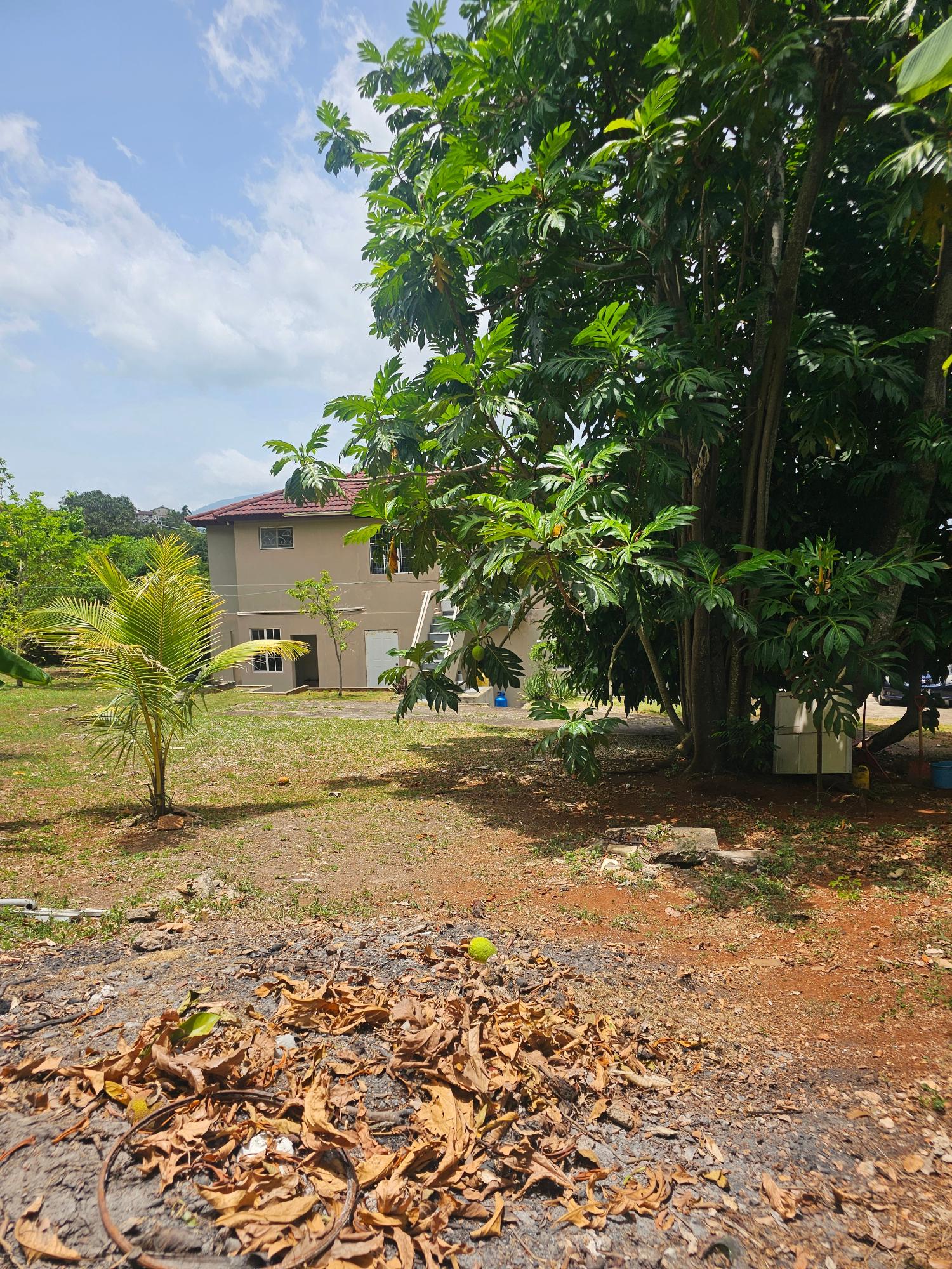 Seventeenth image of Lot 58d Brentwood Terrace in Kingston 19, St. Andrew, Jamaica - property is For Sale