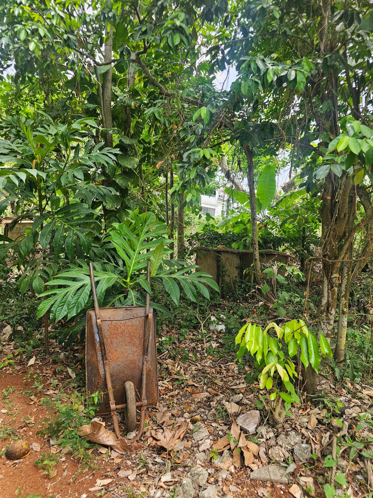 Nineteenth image of Lot 58d Brentwood Terrace in Kingston 19, St. Andrew, Jamaica - property is For Sale