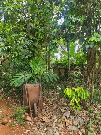 Nineteenth image of Lot 58d Brentwood Terrace in Kingston 19, St. Andrew, Jamaica - property is For Sale