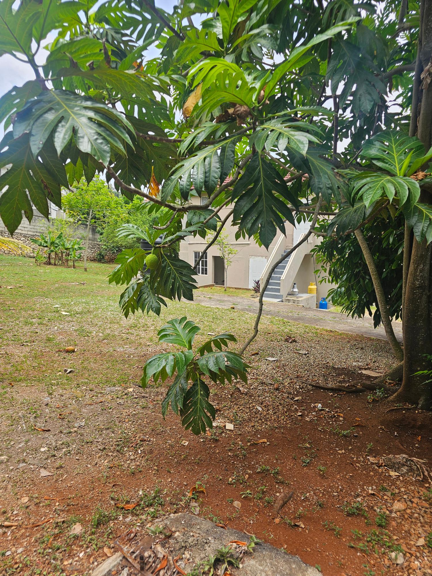 Twentieth image of Lot 58d Brentwood Terrace in Kingston 19, St. Andrew, Jamaica - property is For Sale