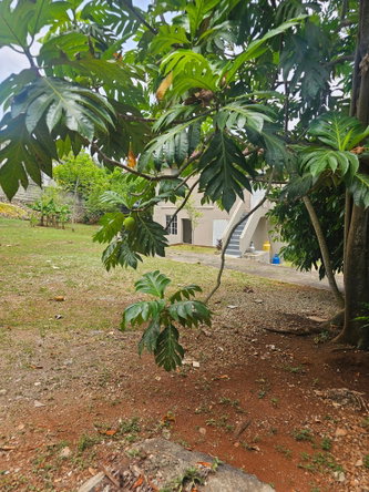 Twentieth image of Lot 58d Brentwood Terrace in Kingston 19, St. Andrew, Jamaica - property is For Sale