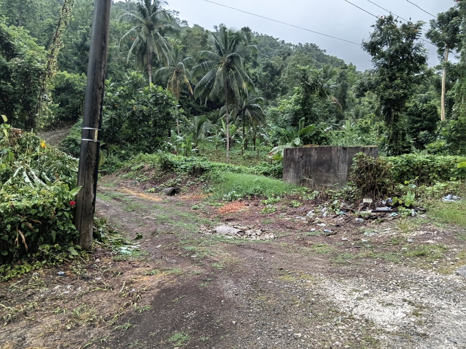 First image of Ecclesdown, Portland in Ecclesdown, Portland, Jamaica - property is For Sale