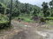 First image of Ecclesdown, Portland in Ecclesdown, Portland, Jamaica - property is For Sale