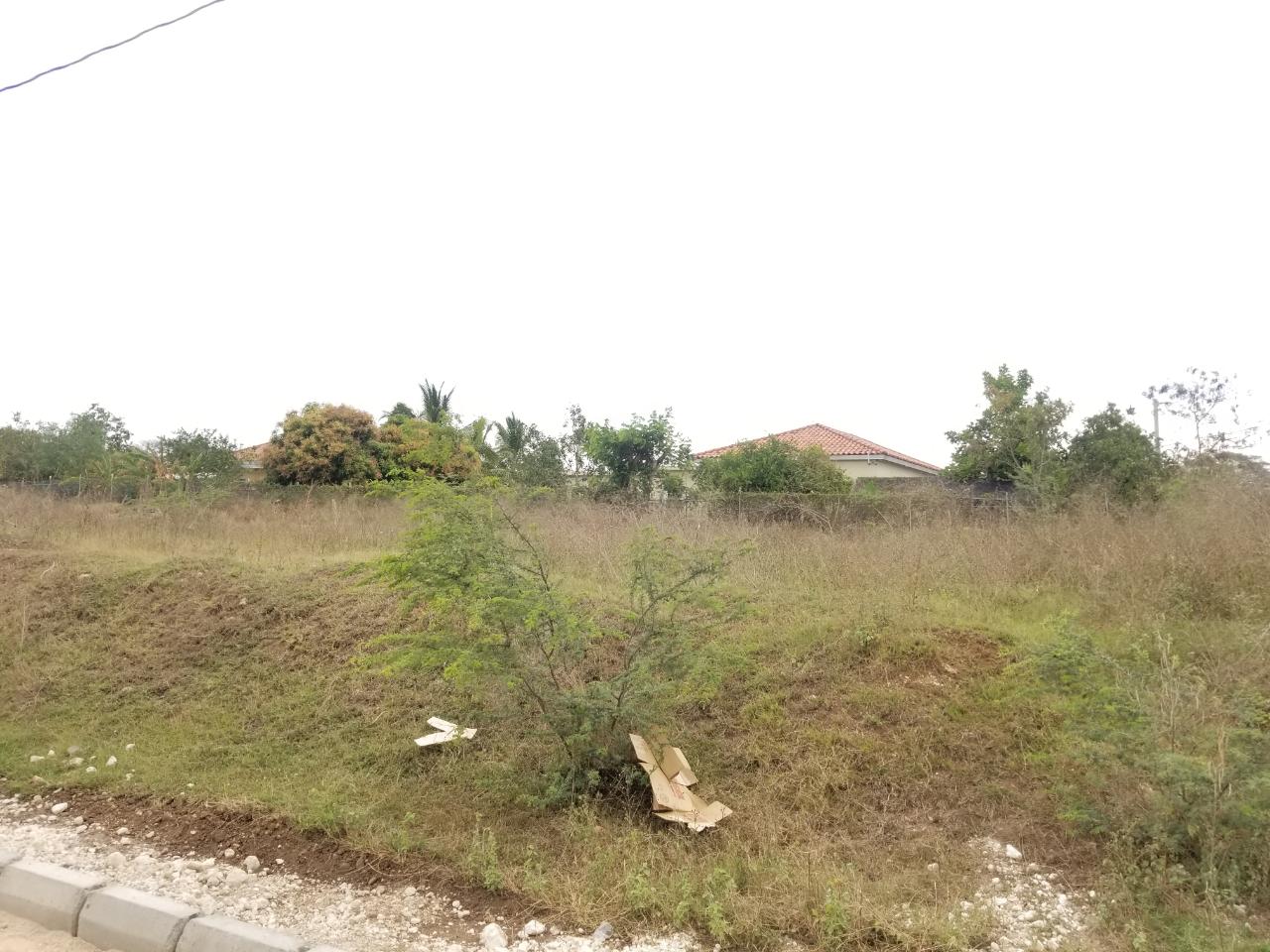 Eighteenth image of Bushy Park,aqueduct Lot 1 in Bushy Park, St. Catherine, Jamaica - property is For Sale
