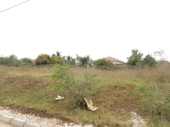 Eighteenth image of Bushy Park,aqueduct Lot 1 in Bushy Park, St. Catherine, Jamaica - property is For Sale