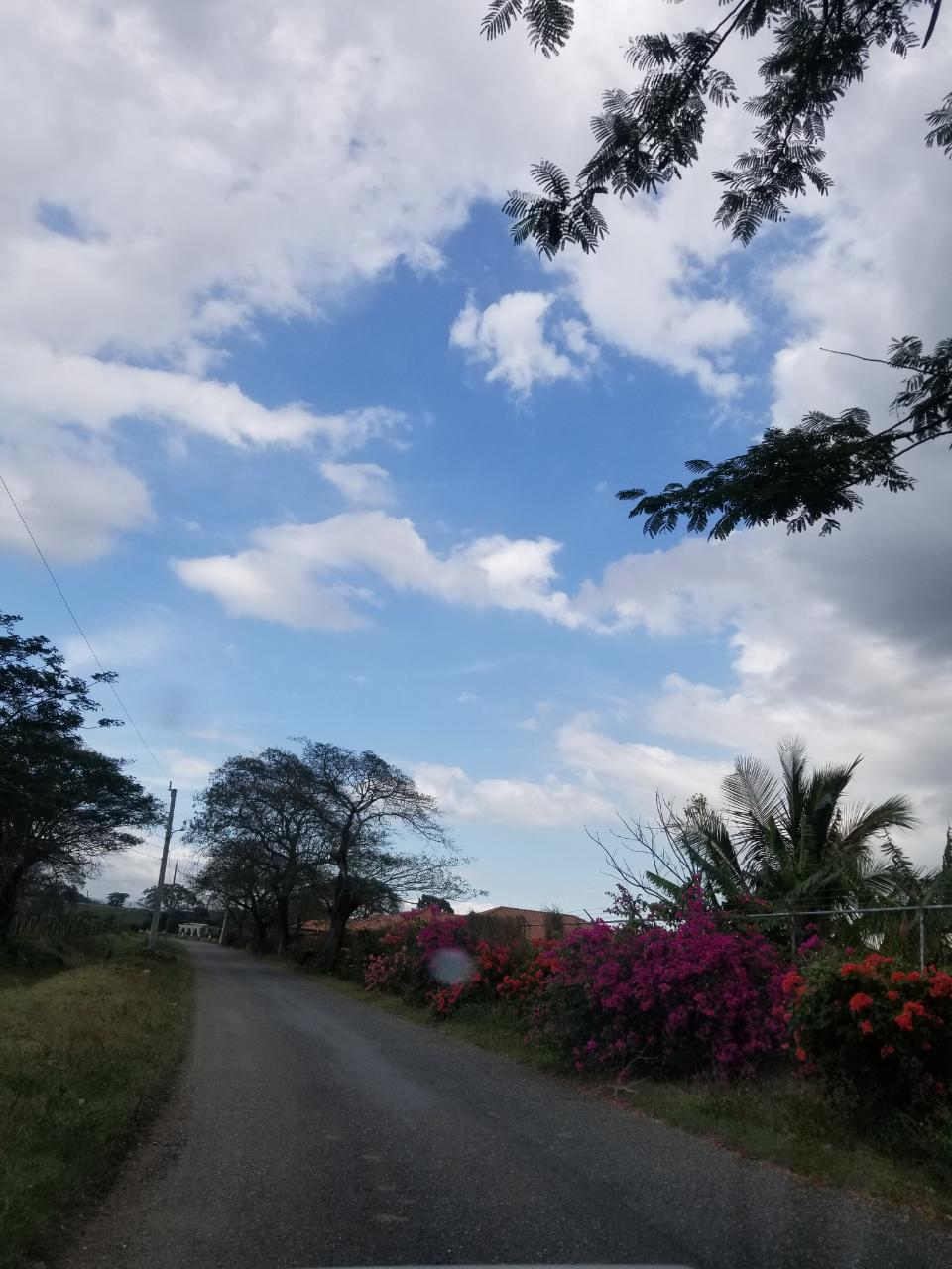 Twentieth image of Bushy Park,aqueduct Lot 1 in Bushy Park, St. Catherine, Jamaica - property is For Sale
