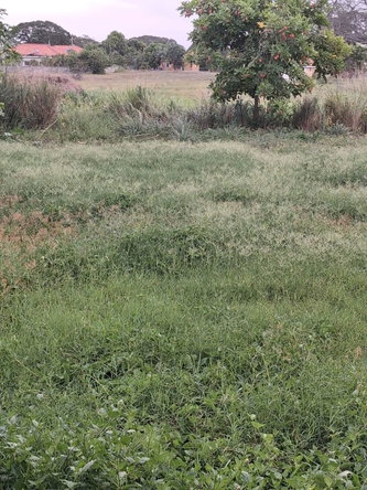 Fourteenth image of Lot 44-43 Bunny Boulevard in Bushy Park, St. Catherine, Jamaica - property is For Sale