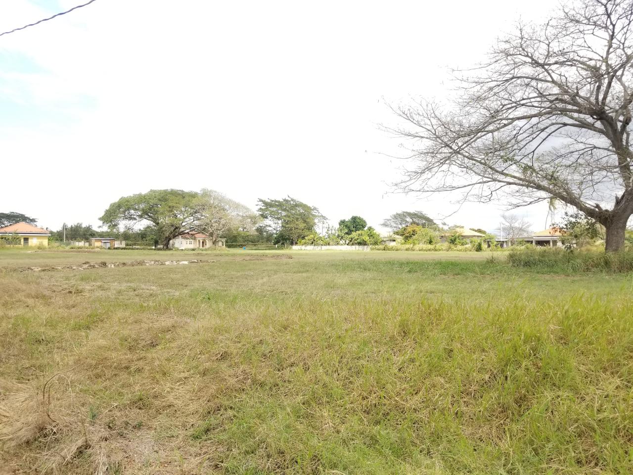 Tenth image of Bushy Park,aqueduct Lot61 in Bushy Park, St. Catherine, Jamaica - property is For Sale