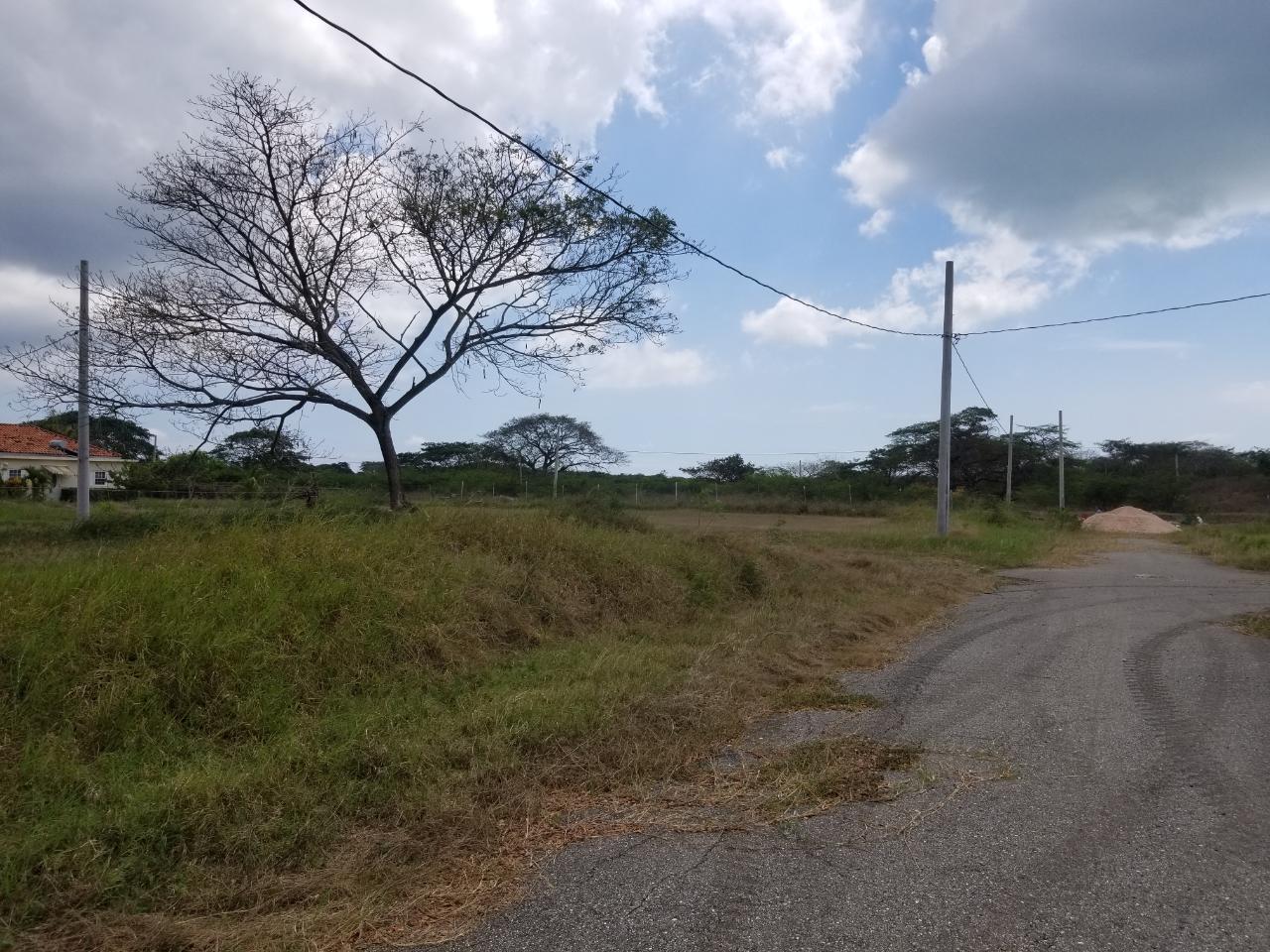 Fourth image of Bushy Park,aqueduct Lot61 in Bushy Park, St. Catherine, Jamaica - property is For Sale