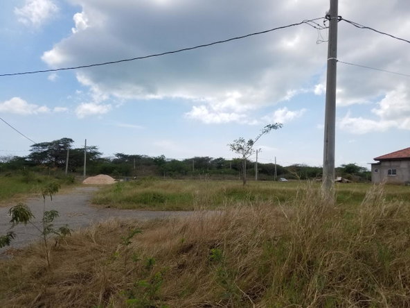 Eighth image of Bushy Park,aqueduct Lot61 in Bushy Park, St. Catherine, Jamaica - property is For Sale